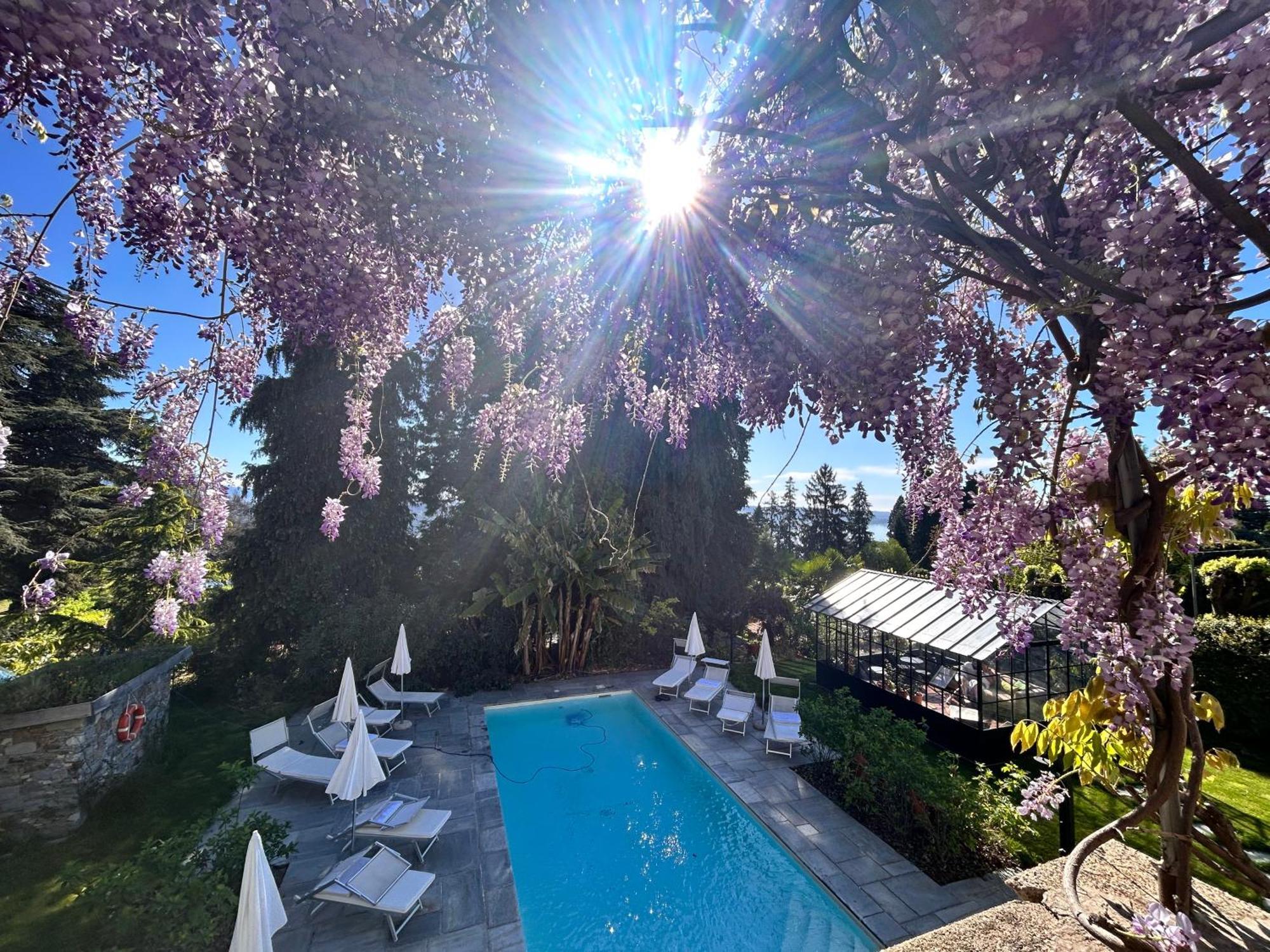 White Lilac Romantic - Adults Only 2*