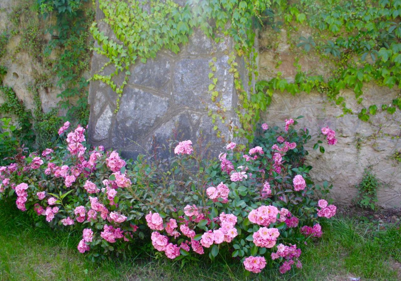 White Lilac Romantic - Adults Only Frühstückspension 2*